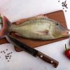 Emperor fish, Vila Meen