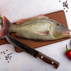 Emperor fish, Vila Meen