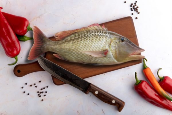 Emperor fish, Vila Meen