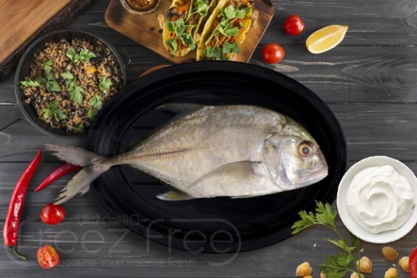 Trevally Fish / Paarai Mean / பாரை மீன்