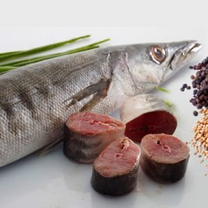 barracuda fish, sheela meen