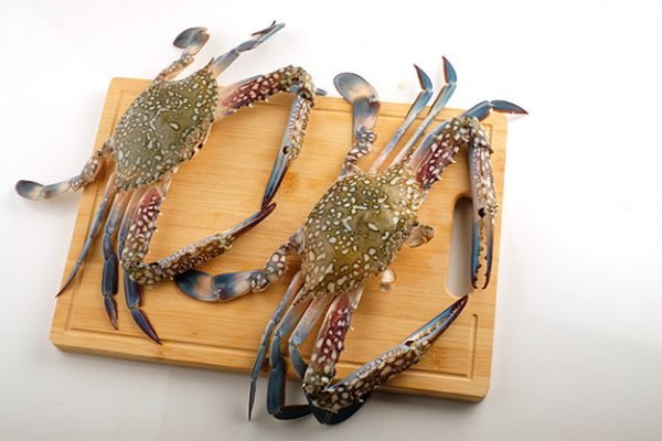 blue crab, nandu,, sea crab