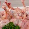 chicken lollipop