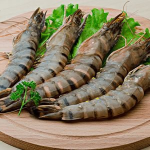 medium tiger Prawns, white Shrimps