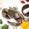 mud-crab-pacha-nandu