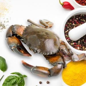 mud-crab-pacha-nandu