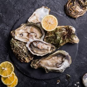 oyster shell fish
