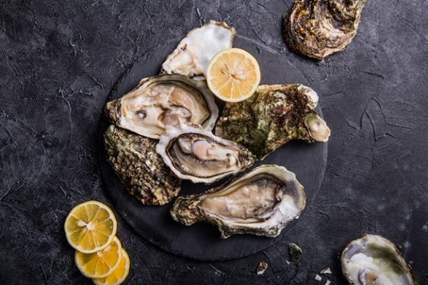 oyster shell fish