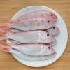 pink perch fish, sankara meen