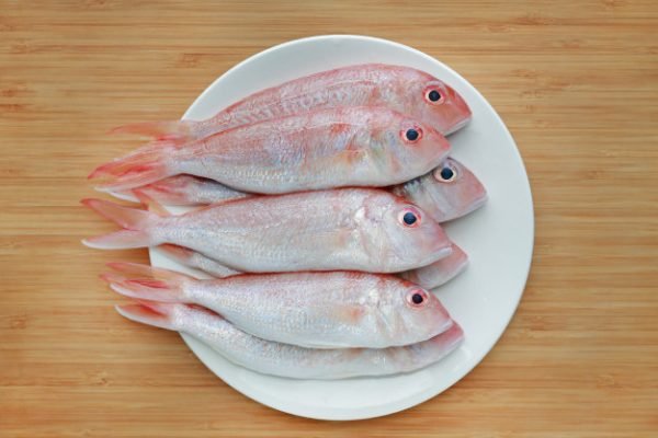 pink perch fish, sankara meen