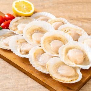 scallop meat shell fish