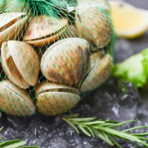 sea clam