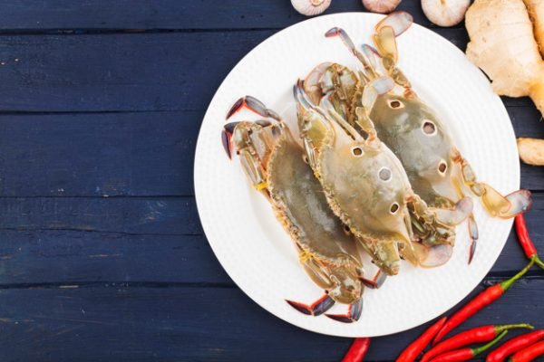 three dot sea crab