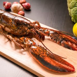 lobster fish prawn shrimp