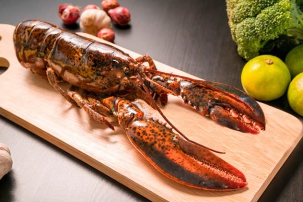 lobster fish prawn shrimp