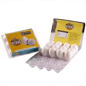 healthy white chicken eggs
