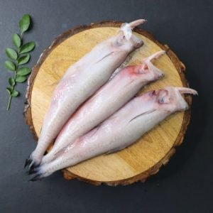 Bombay Duck / வங்கவராசி மீன்