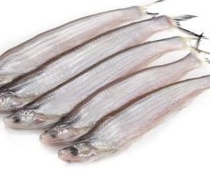 kajoli Fish / Bashpata