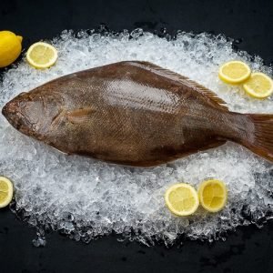 Nakku meen / Indian Halibut
