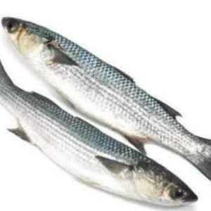 Parshe Fish / கிளிச்சென்